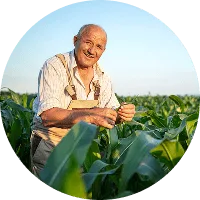 Organic Farming - 世界杯赛果