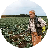 Organic Farming - 世界杯赛果