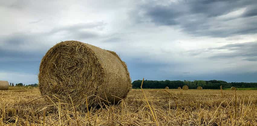 世界杯赛果为您提供专业、贴心的服务体验。 - 世界杯赛果