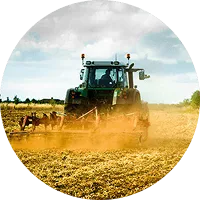 Organic Farming - 世界杯赛果