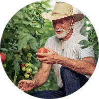 Organic Farming - 世界杯赛果