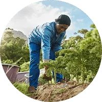 Organic Farming - 世界杯赛果