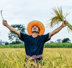 Agri-Tech and Innovation  Updates - 世界杯赛果