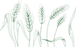 Cultivating Growth The
                                      - 世界杯赛果