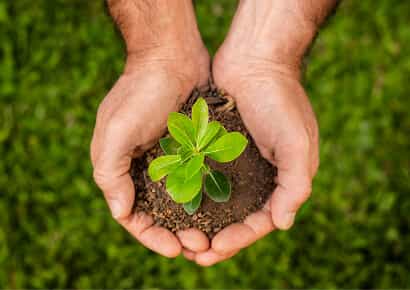 Organic Farming Solutions - 世界杯赛果