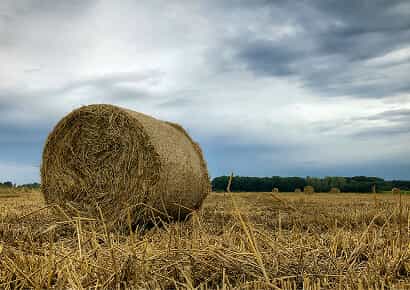 Organic Farming Solutions - 世界杯赛果