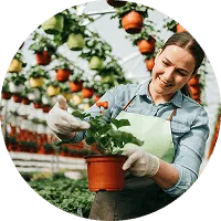 Organic Farming - 世界杯赛果