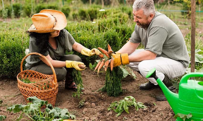 Revolutionizing the Way Food is Grown - 世界杯赛果